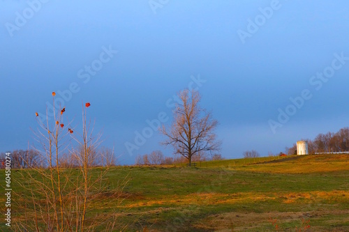 Beautiful Blue Sky Over Farmland, Single Tree and Silo in the Distance