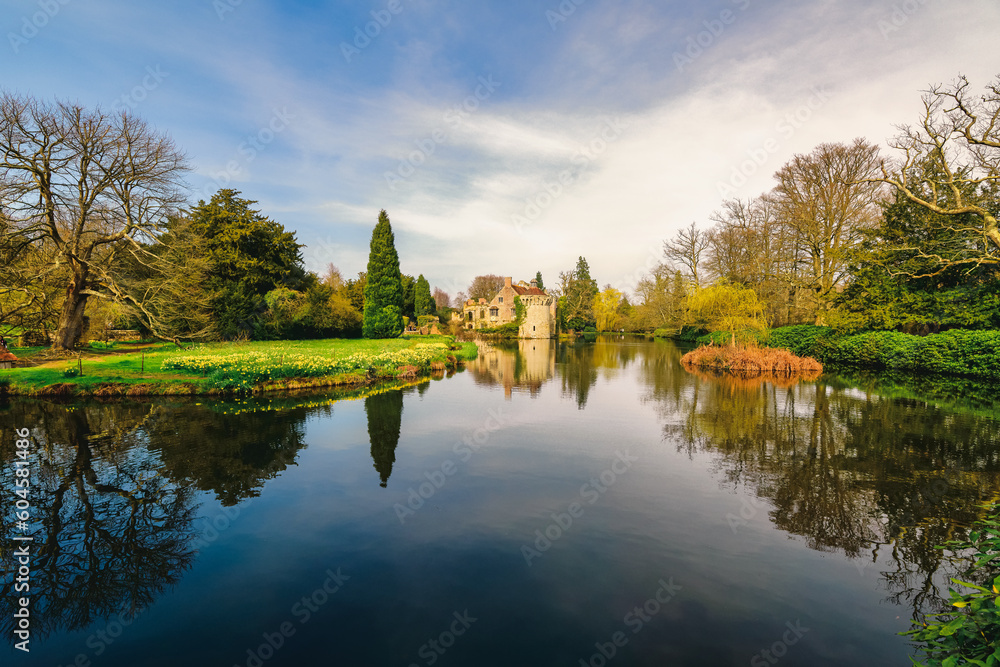 Fototapeta premium romantic ruined castle at a lake with reflections