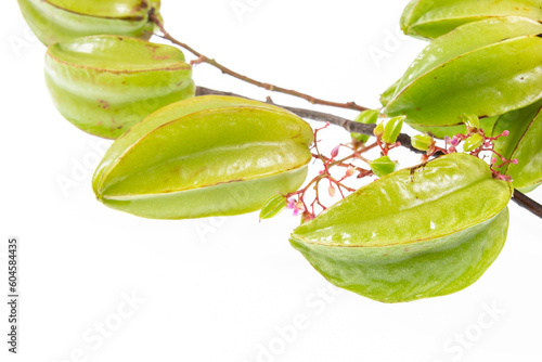 Star fruit or Carambola Green - Averrhoa Carambola; Photo On White Background photo