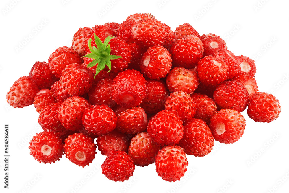 wild Strawberry isolated on white background, full depth of field wild Strawberry isolated on white background, full depth of field
