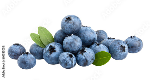 blueberry, isolated on white background, full depth of field
