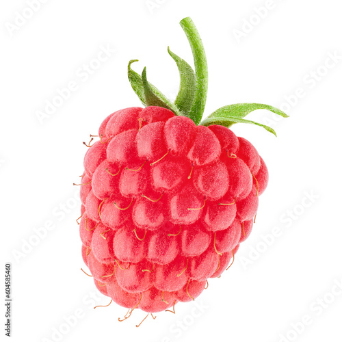 Raspberry isolated on white background, full depth of field