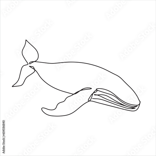continuous line one line aquatic animals whale sea swimming cute animals hand drawn illustration vector
