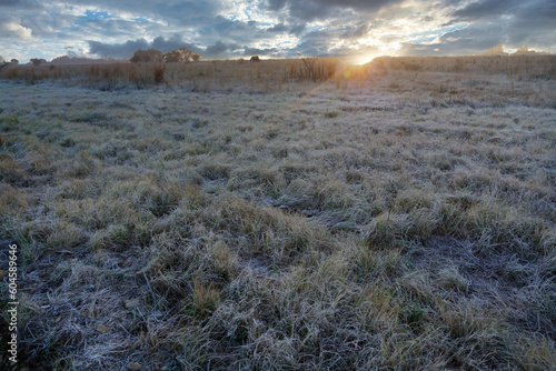 Wild grass field frozen over in the rising sun of the first frost that has fallen in the beginning of winter with stunning cloud cover