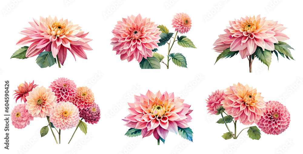 Fototapeta premium Set of watercolor dahlia flowers. Generative Ai