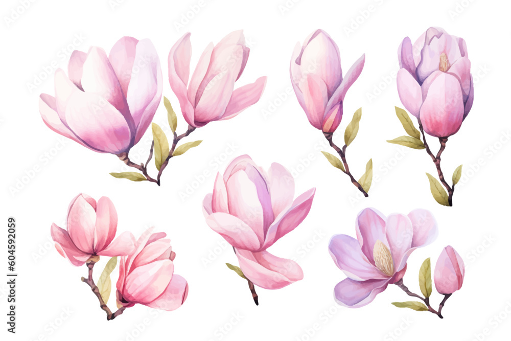 Set of floral elements. Set of floral elements.