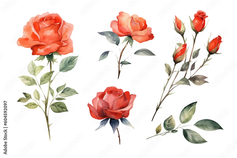 Set of floral elements. Set of floral elements.
