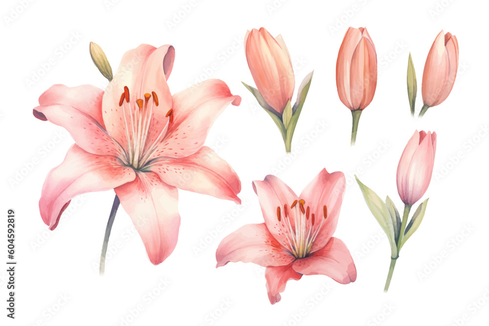 bouquet of lilies bouquet of lilies