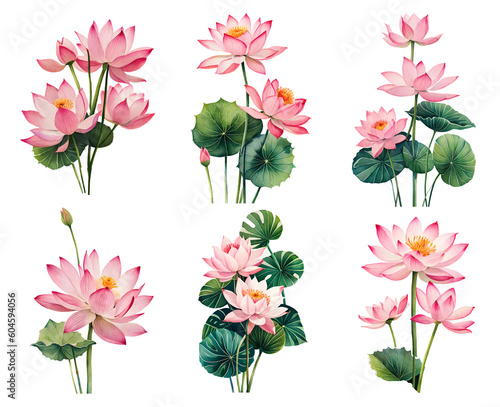 Fototapeta Naklejka Na Ścianę i Meble -  Set of watercolor lotus flowers. Generative Ai