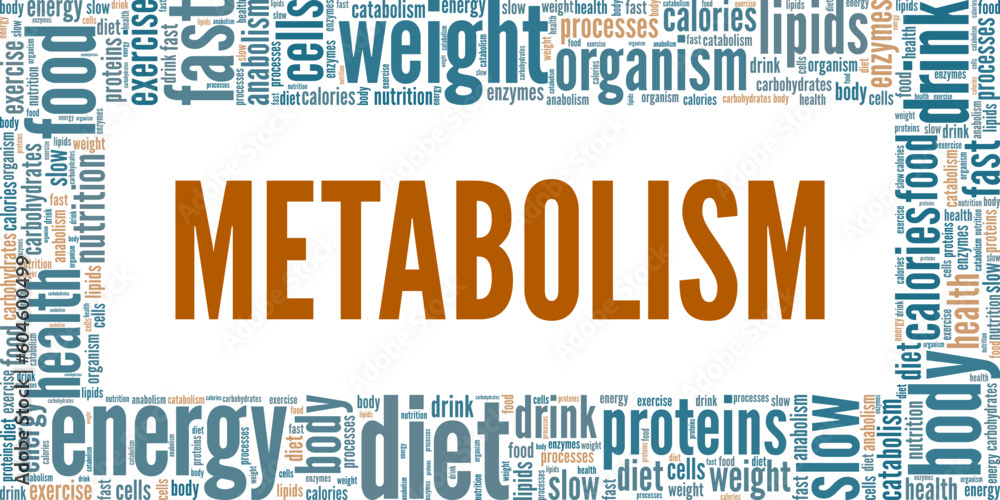 Metabolism word cloud conceptual design isolated on white background.