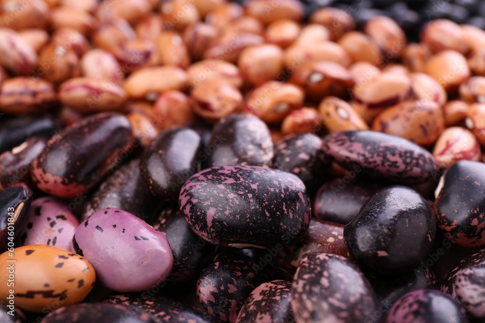 Different kinds of beans as background, closeup Different kinds of beans as background, closeup