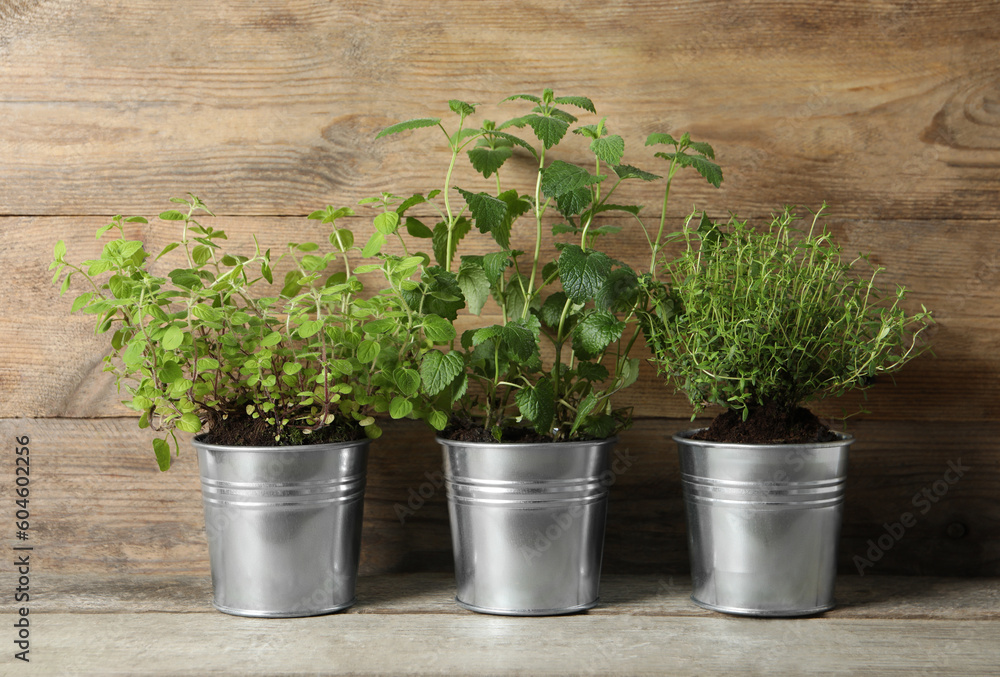 Different aromatic potted herbs on wooden table Different aromatic potted herbs on wooden table