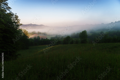 Morning fog in the countryside.