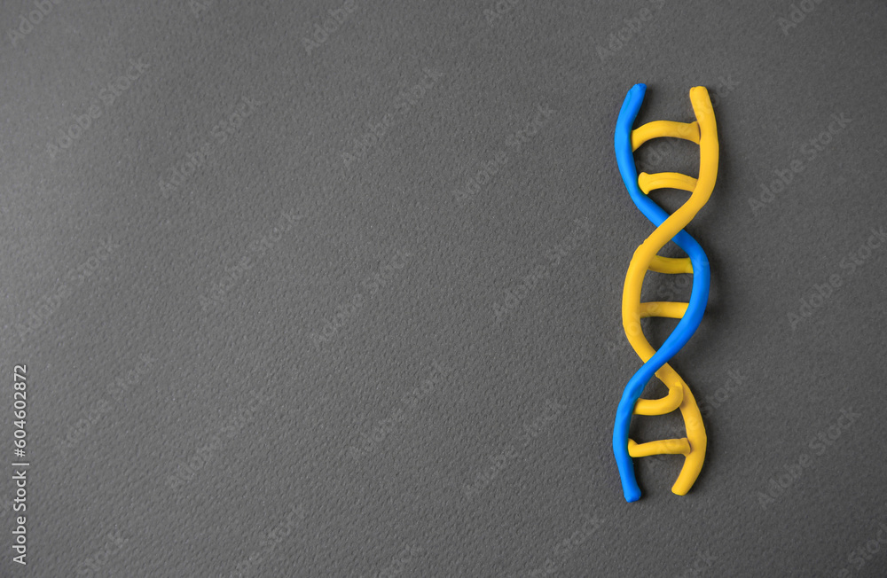 DNA molecule model made of colorful plasticine on black background, top view. Space for text DNA molecule model made of colorful plasticine on black background, top view. Space for text
