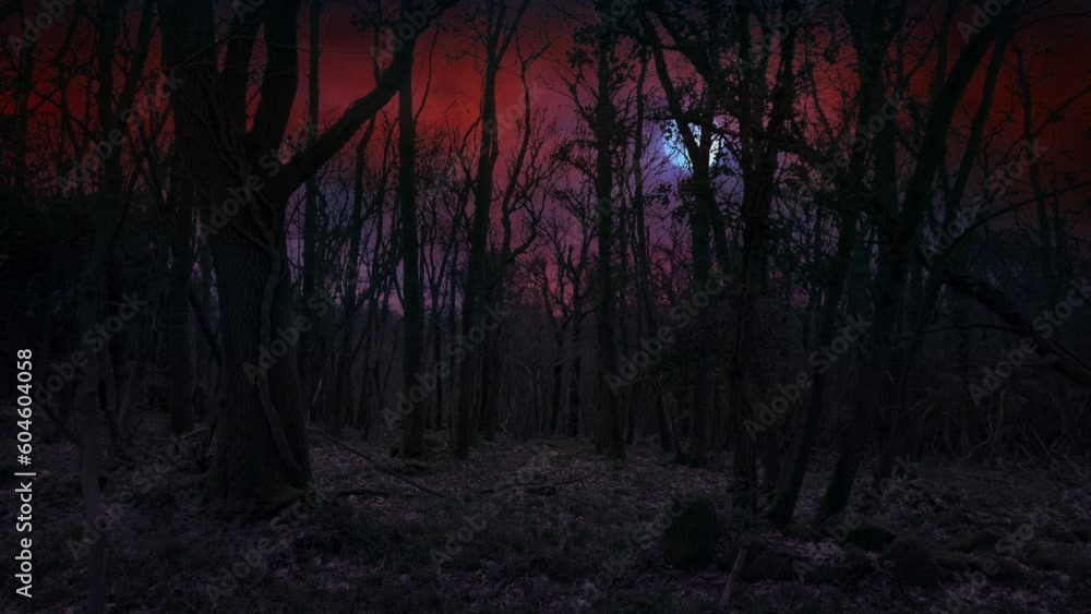 Nightmare Sky With Moon And Lightning Above Dark Woods Nightmare Sky With Moon And Lightning Above Dark Woods