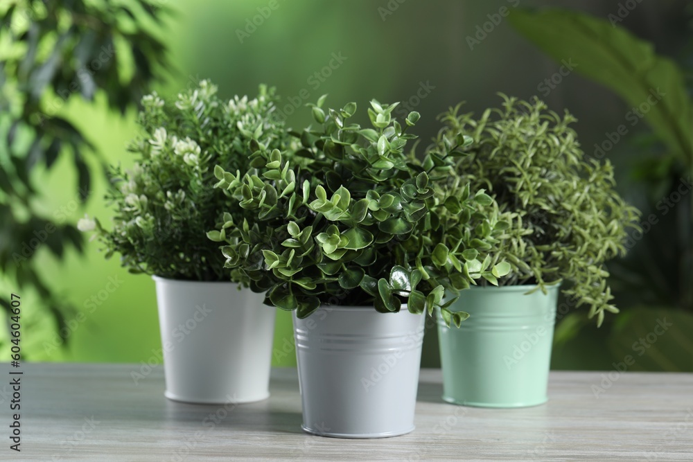 Fototapeta premium Different aromatic potted herbs on white wooden table outdoors