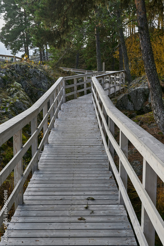 Fototapeta Naklejka Na Ścianę i Meble -  Wooden bridge walkway in the forest