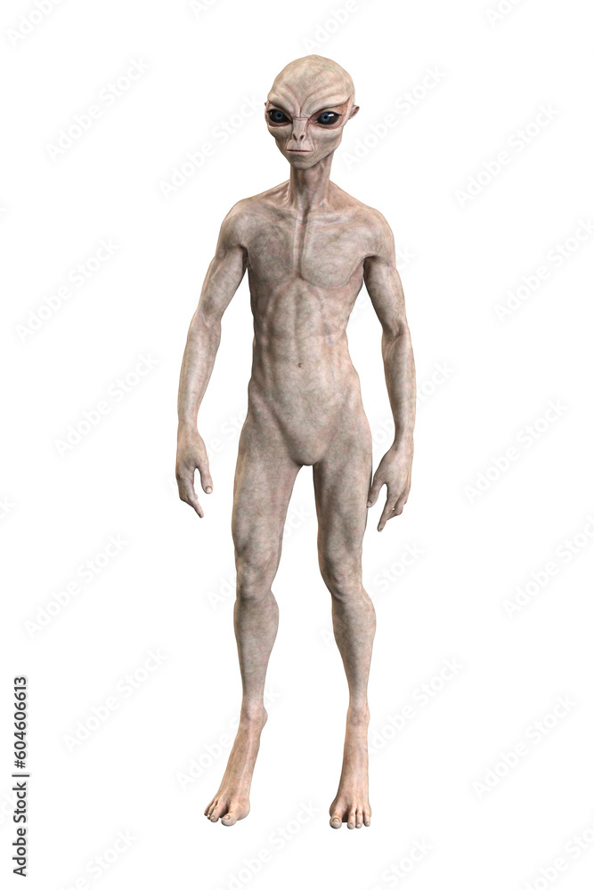Grey alien on transparent background, 3d render Grey alien on transparent background, 3d render