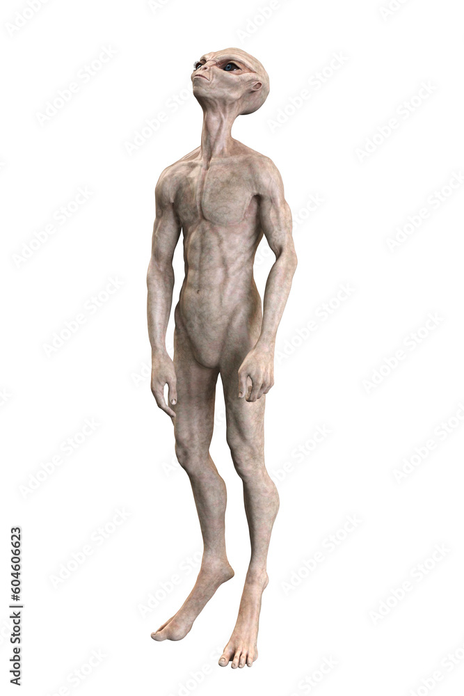 Grey alien on transparent background, 3d render Grey alien on transparent background, 3d render