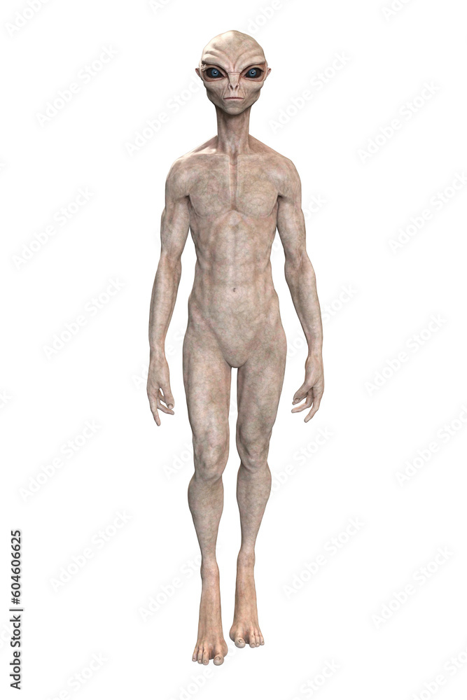 Grey alien on transparent background, 3d render Grey alien on transparent background, 3d render