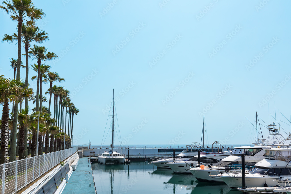 Fototapeta premium (神奈川県ー風景)初夏のマリーナ風景10