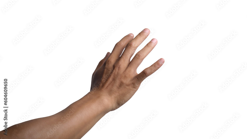 Man's Hands in Various Poses on Transparent or White Background