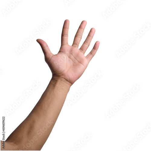 Man's Hands in Various Poses on Transparent or White Background