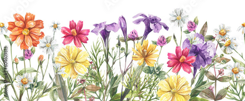 Watercolor, floral seamless border with cosmea flowers, bluebells and herbs. Yellow flowers, orange flowers background.