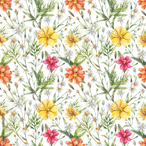 Watercolor seamless pattern with bright cosmos flowers on a white background.