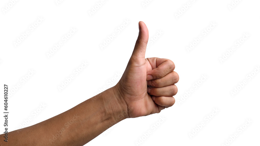 Man's Hands in Various Poses on Transparent or White Background Man's Hands in Various Poses on Transparent or White Background