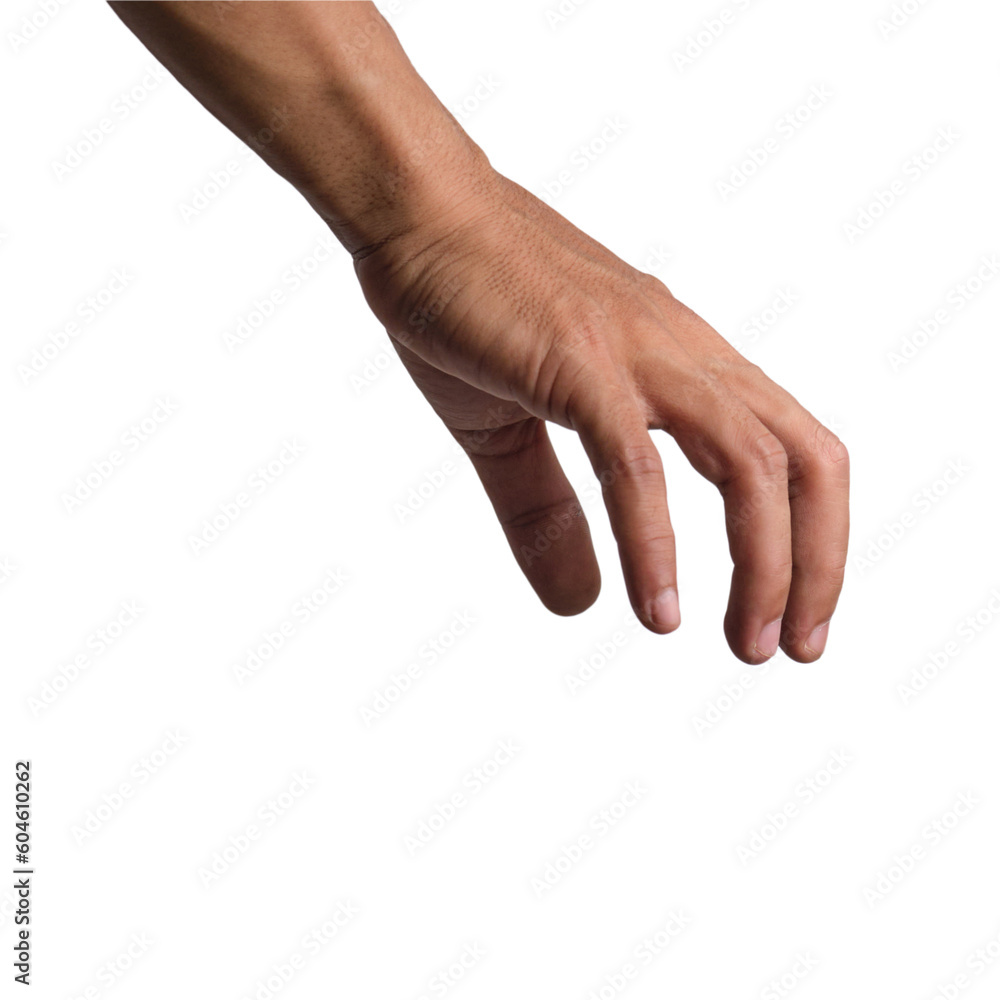 Man's Hands in Various Poses on Transparent or White Background Man's Hands in Various Poses on Transparent or White Background