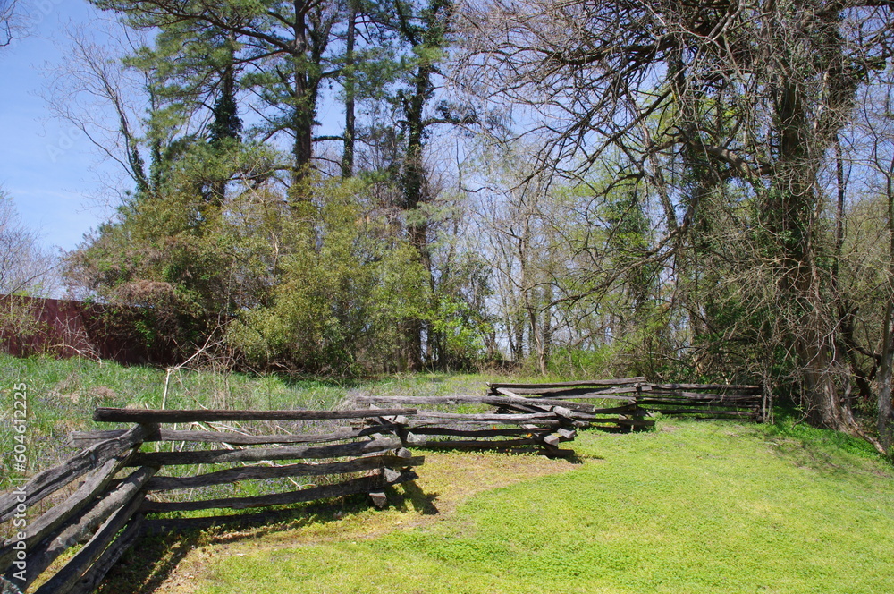 Fototapeta premium A line of Traditional Wooden Split-Rail fencing at the edge of woodland, Virginia, USA. 