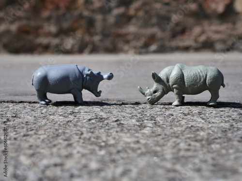 hippopotamus facing a rhinoceros