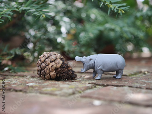 hippopotamus wants to eat a pine cone