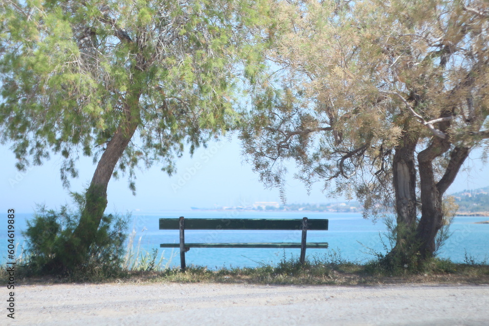 Bench, between the trees overlooking the sea