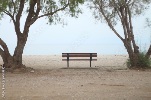 Bench on the beach between the trees