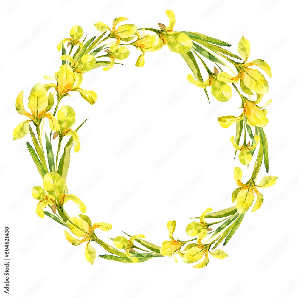 watercolor round frame with yellow iris flowers, hand drawn illustration of spring flowers isolated on white background
