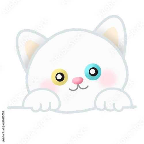white odd eyed cat hiding