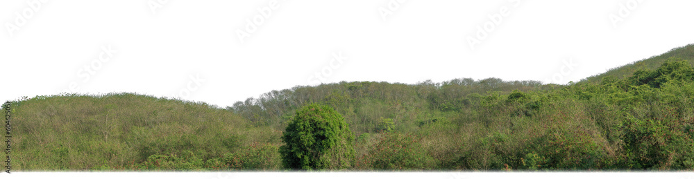 rocky mountain hill with green forest isolated on transparent background with clipping path and alpha channel.. rocky mountain hill with green forest isolated on transparent background with clipping path and alpha channel..