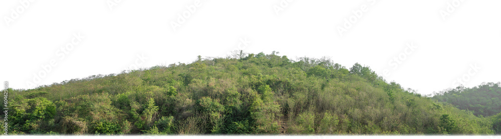 rocky mountain hill with green forest isolated on transparent background with clipping path and alpha channel.. rocky mountain hill with green forest isolated on transparent background with clipping path and alpha channel..