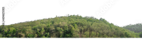 Fotografie rocky mountain hill with green forest isolated on transparent background with clipping path and alpha channel