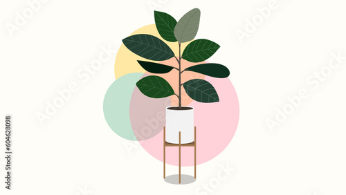 Plant House purify the air in the house on white pots in the house., isolated on white  background,  Vector Illustration EPS 10