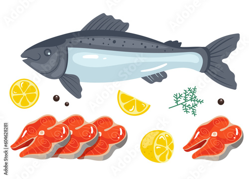 Fish salmon tuna food raw slice fillet piece isolated set. Vector graphic design illustration