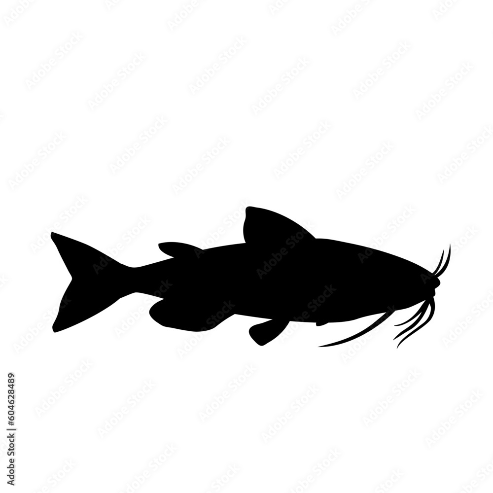 Obraz premium fish silhouette