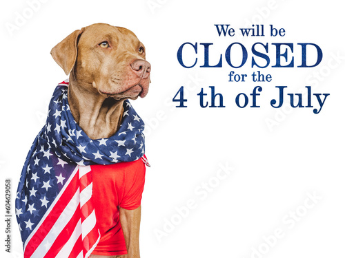 Signboard with the inscription We will be closed for the 4th of July. Cute brown puppy. Closeup, indoors. Studio shot. Congratulations for family, loved ones, friends and colleagues. Pet care concept