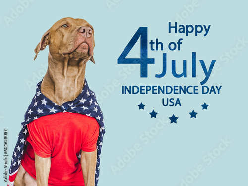 Happy Independence Day. American Flag and cute brown puppy. Closeup, indoors. Studio shot. Congratulations for family, loved ones, friends and colleagues. Pets care concept