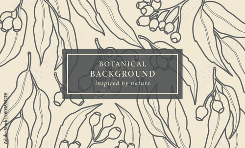 Line art Australian native eucalyptus background