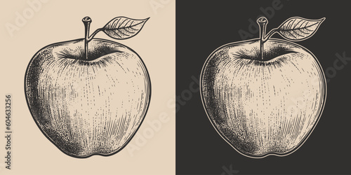 Set of vintage retro woodcut linocut engraving gravure sketch apple. Can be used like emblem, logo. mark, poster or print. Monochrome Graphic Art. Vector. Hand drawn element in antique