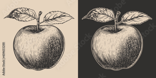 Set of vintage retro woodcut linocut engraving gravure sketch apple. Can be used like emblem, logo. mark, poster or print. Monochrome Graphic Art. Vector. Hand drawn element in antique