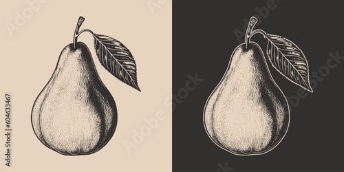 Set of vintage retro woodcut linocut engraving gravure sketch organic eco pear. Can be used like emblem, logo. mark, poster or print. Monochrome Graphic Art. Vector. Hand drawn element in antique